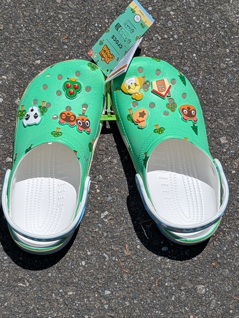 Crocs Animal Crossing Classic Clog K (size j4) in Mint Green(NWT)